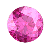 purple rose